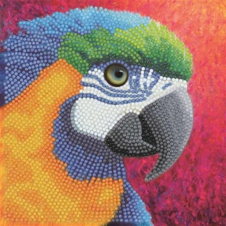Crystal Art Card Kit.paradise papegaai 18x18cm