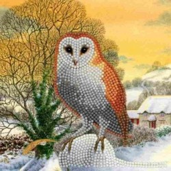 CrystalCardKitWinter Owl 18x18cm