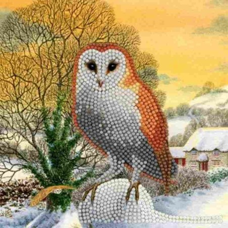 CrystalCardKitWinter Owl 18x18cm