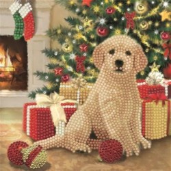 Crystal Art Card kit. First Christmas