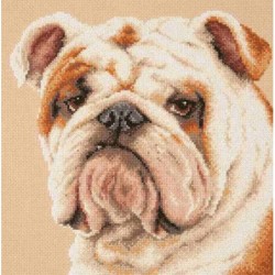 DH Bulldog chudo igla