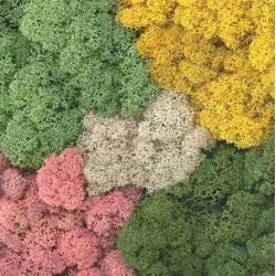 Mos Decor Island assorti kleur   50g