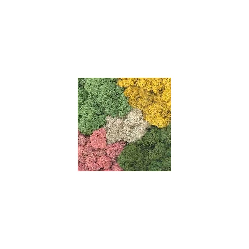 Mos Decor Island assorti kleur   50g