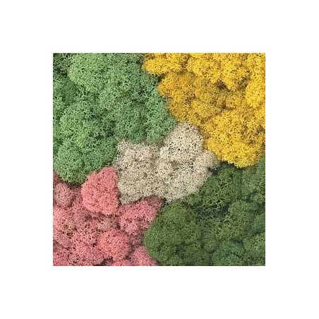 Mos Decor Island assorti kleur   50g