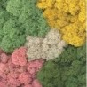 Mos Decor Island assorti kleur   50g