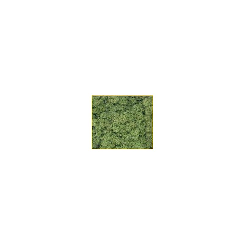 Mos Decor Island Donkergroen     50g