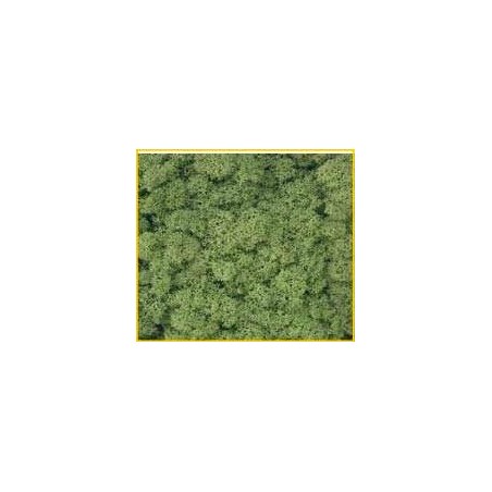 Mos Decor Island Donkergroen     50g