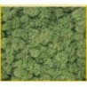 Mos Decor Island Donkergroen     50g