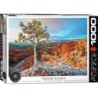 Puzzel Winter Sunrise (1000)