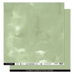 Papier scrapb. Nr30 vert tilleul