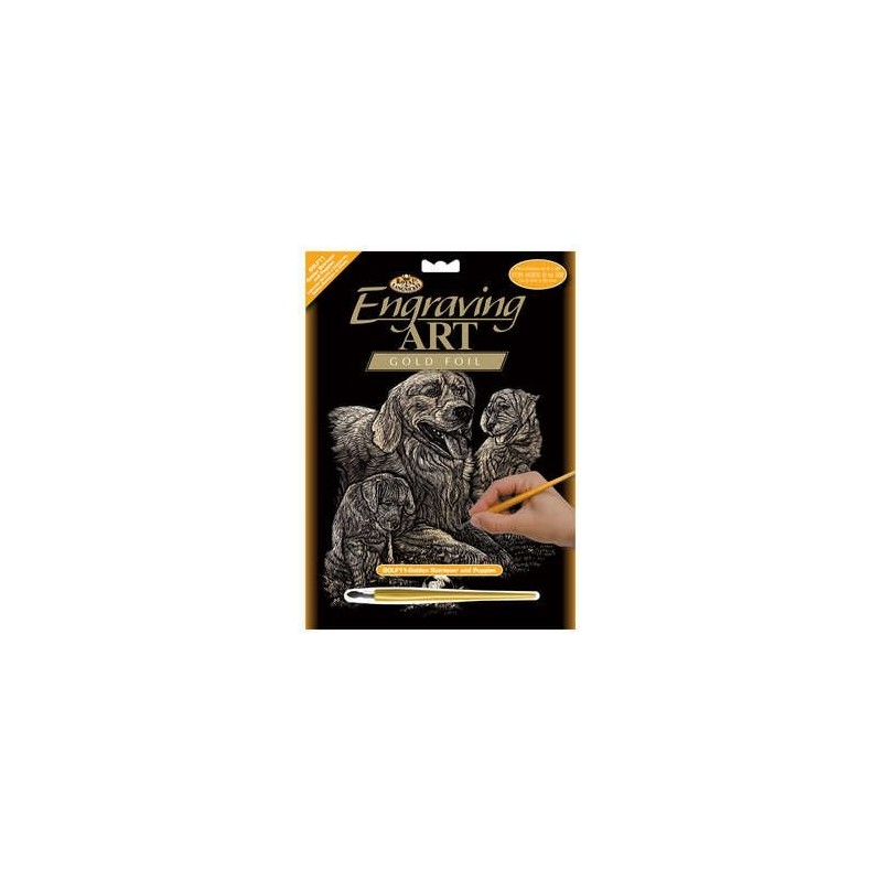 Scrappfolie Goud Retriever + jongen
