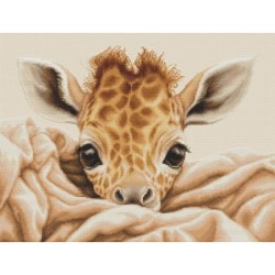 TP The Baby Giraffe  B2425