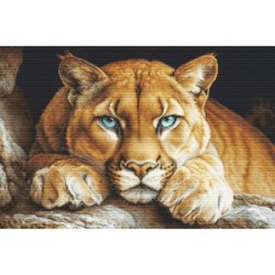 TP The Wild Spirit - Luca-S