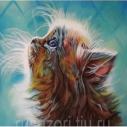 Schilderen op nr Kitten in a dream 40 x 50 cm