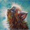 Schilderen op nr Kitten in a dream 40 x 50 cm