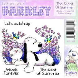 Stempel rubber Barkley NL S.ofSummer