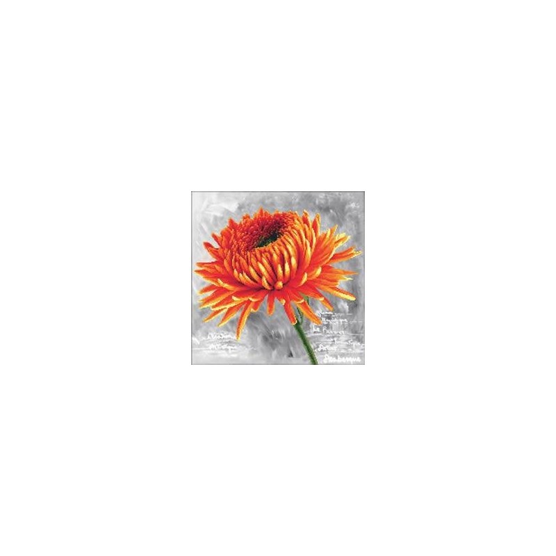 Voorbedrukt kruissteekpakket Orange Dahlia