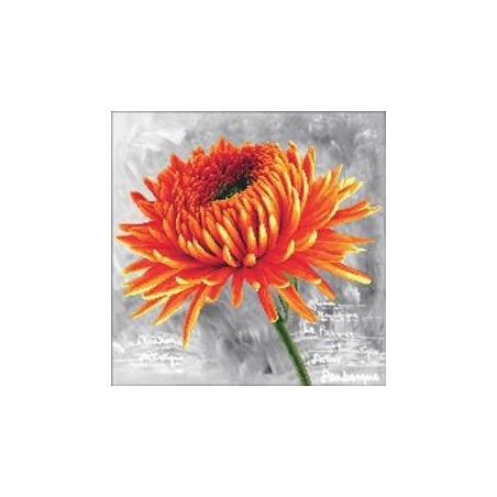 Voorbedrukt kruissteekpakket Orange Dahlia
