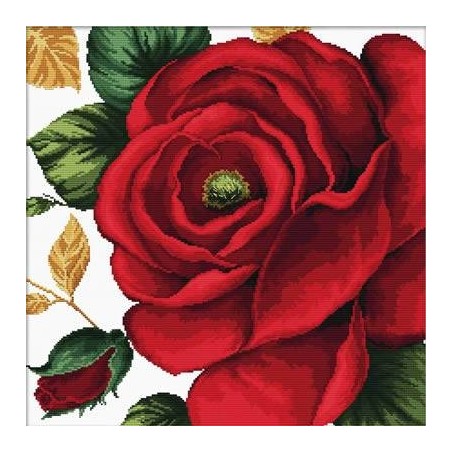 Voorbedrukt kruissteekpakket Rose