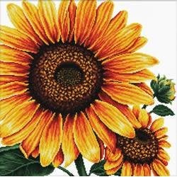 Voorbedrukt kruissteekpakket Sunflouwer