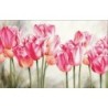 Voorbedrukt kruissteekpakket Pink Tulips