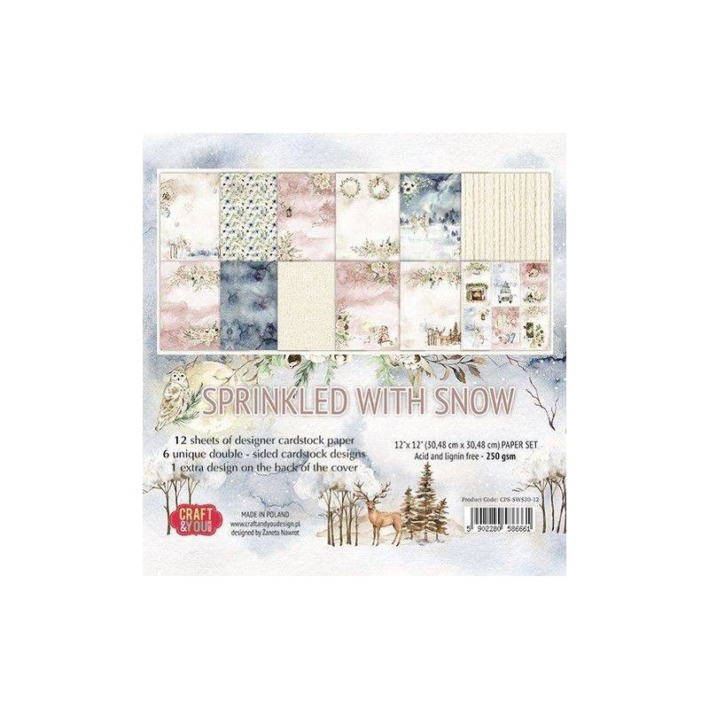Craft&You Sprinkled with Snow Big Paper Set 12x12