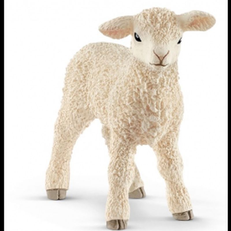 Schleich Lam