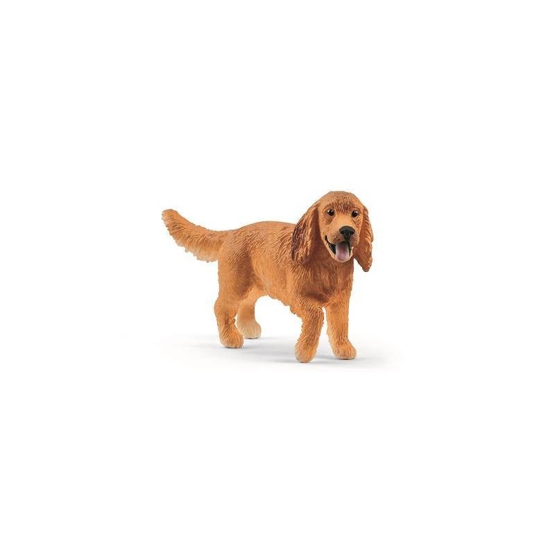 Schleichengelse cocker-spanil