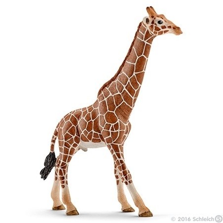 SchleichGiraffe,stier