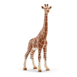 Schleich GIRAF, WIJFJE