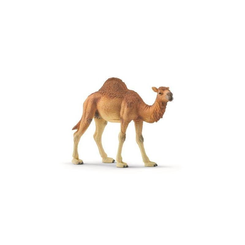 Schleich  DROMEDARIS