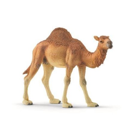Schleich  DROMEDARIS