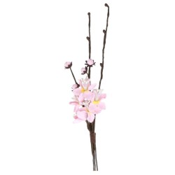 BRANCHE CERISIER DU JAPON