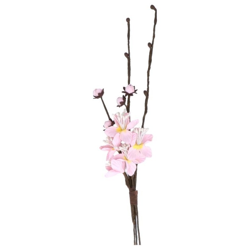 BRANCHE CERISIER DU JAPON