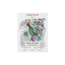 Coloring cards esprit des forets