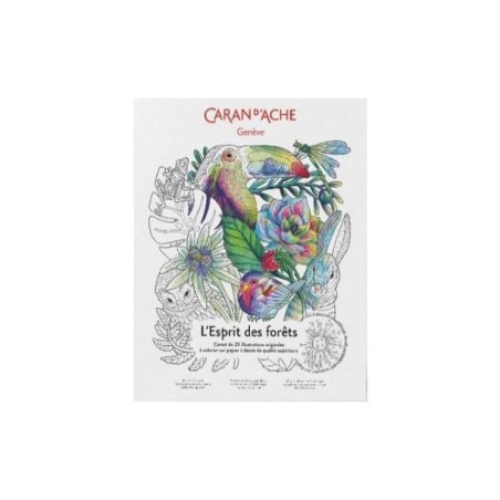 Coloring cards esprit des forets