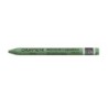 CLASSIC NEOCOLOR II VERT OXYDE DE CHROME