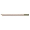 PASTEL PENCIL-OLIVE BROWN-FSC