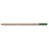 PASTEL PENCIL-MOSS GREEN-FSC