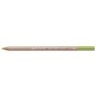 PASTEL PENCIL-MIDDLE MOSS GREEN 10%-FSC