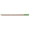 PASTEL PENCIL-MIDDLE MOSS GREEN 30%-FSC