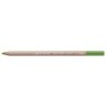 PASTEL PENCIL-LIGHT OLIVE 40%-FSC