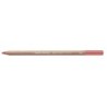 PASTEL PENCIL-PORTRAIT PINK-FSC