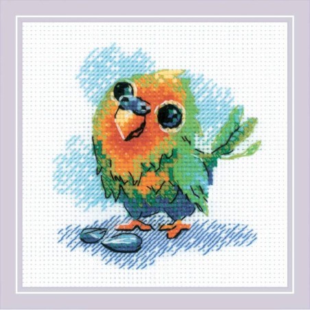 TP Little Parrot    RI-2284