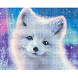 TP  Artic Foxyi Letistitch-LI65-00