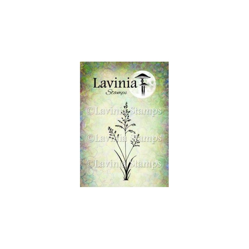 Lavinia Orchard Grass