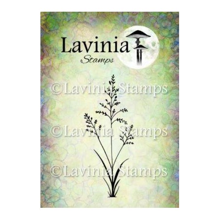 Lavinia Orchard Grass
