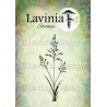 Lavinia Orchard Grass