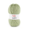 ALASKA 73   pistache 100gr.