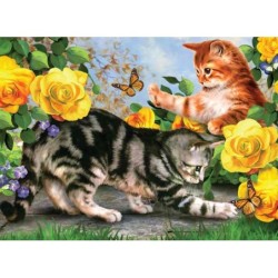 Schilderenopnr.KittenplayPJL45